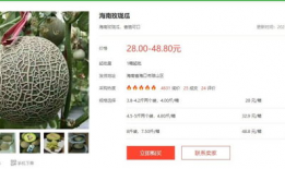 娱乐圈吃瓜文献迅雷下载,迅雷下载背后的吃瓜风云